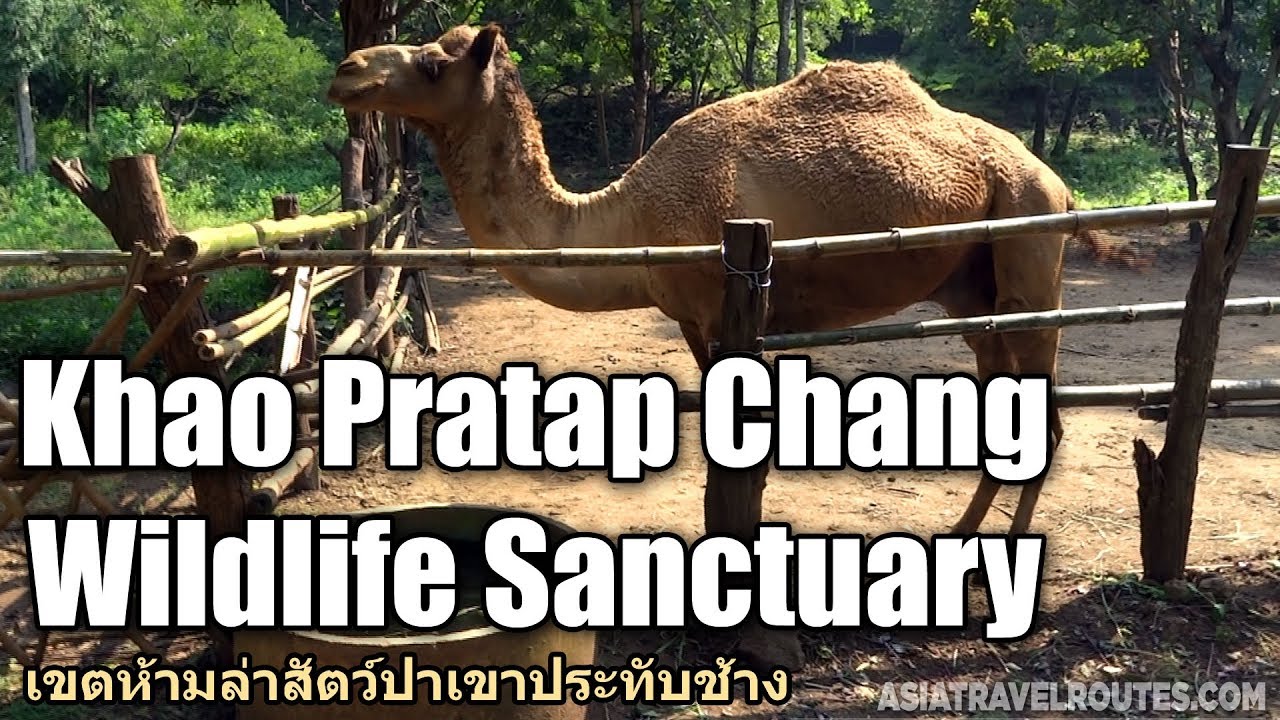 Khao Prathap Chang Wildlife Sanctuary