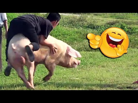 Try To Not Laugh Challenge_Must Watch Top Comedy Funny Video 2021 || LOL Troll