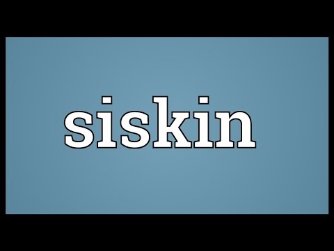 Siskin Meaning