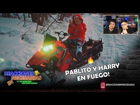 Reacción y Análisis a Harry Nach, Pablo Chill-E, Red Fingers - LAS BOTELLAS GOLDEN