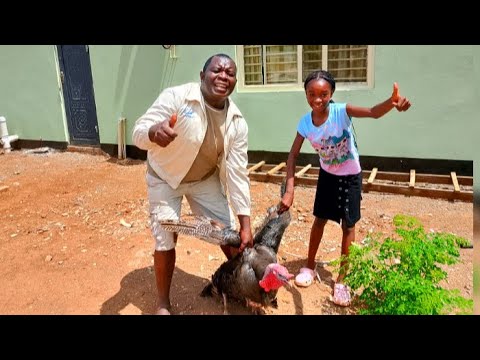 Cooking A 25 Kg Turkey 🦃 For Christmas 🎁 with My Daughter Joyesther