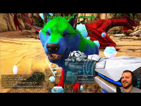 Taming a Leftover Event Direwolf - Ark Crystal Isles