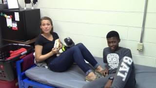 Shenandoah HS Homecoming Court 2015