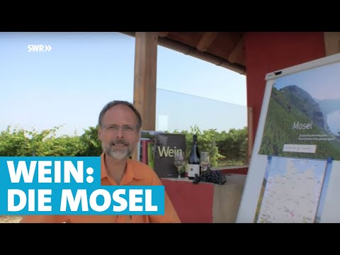 Werner erklärt Wein: Die Mosel