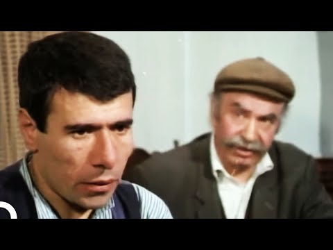 Sarı Öküz Parası | İlyas Salman Türk Komedi Filmi İzle