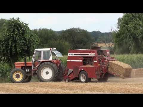 Landb. Silverans - Humbeek - Fiat 1300 DTH - Hesston 4700