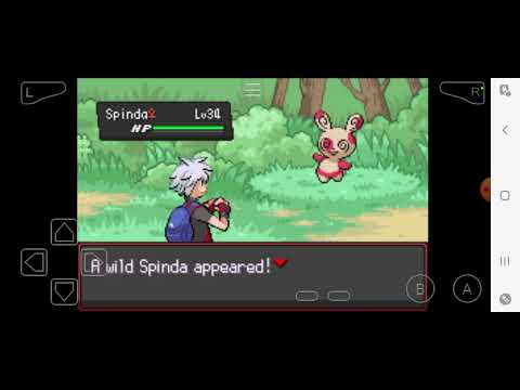 FINALMENTE O RIOLU EVOLUIU I POKÉMON DARK WORKSHIP