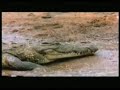 MKANDALA RUFUFU MOVIES IMETAFSIRIWA