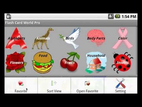 FlashCard World Video