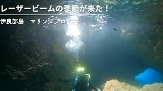 マリンズプロ宮古