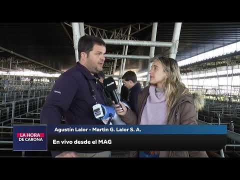 LHC - Agustín Lalor (01-10-25)