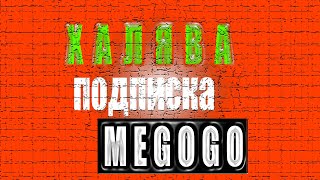 Халява! Megogo 60 дней подписки за 1 рубль / акции 2020/ халява 2020/ бонусы 202 Telemost.video - Первая нейронная сеть, предоставляет блоки для встраивания видеоконтента с крупнейших видеохостингов. Монетизация видео внутри блока