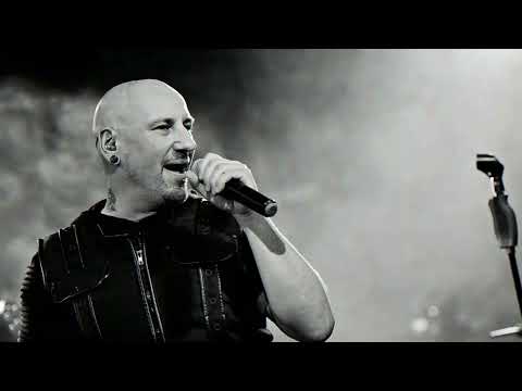 Beyond Border - 2021 in BBBildern