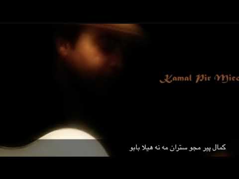 Kamal pir mico-nahela