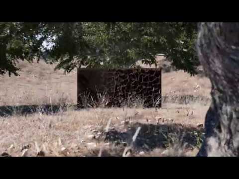 Видеообзор