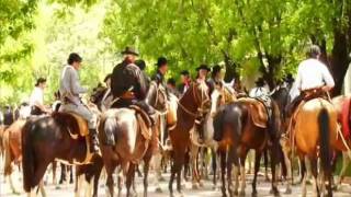 preview picture of video 'Dia de la Tradición - San Antonio de Areco'