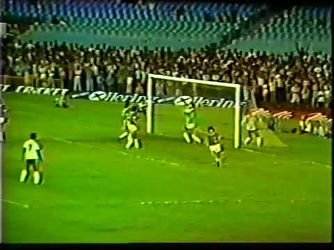 Fluminense 1 x 0 Botafogo - Campeonato Carioca Especial 1979
