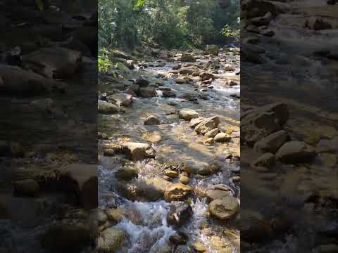 Ubatuba, litoral norte de São Paulo