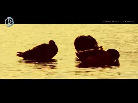 Sängerrunde St  Michael bei Villach