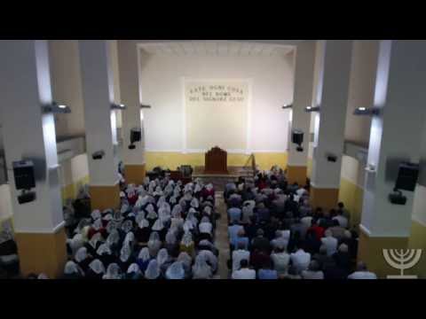 2016-09-01 Giovedi - Fr. Gemelli - Salmo 91