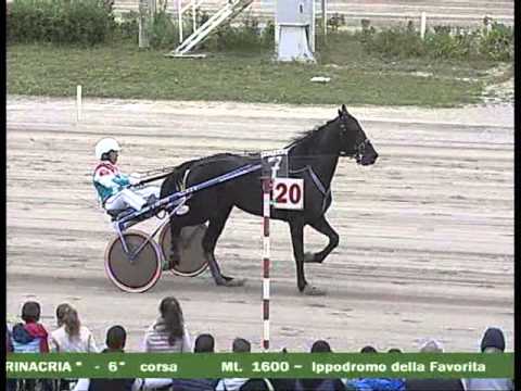 G.P. Trinacria - 6° CORSA del 2 APRILE 2016