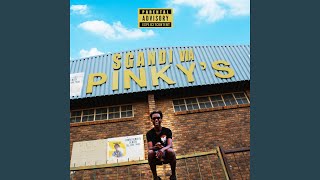 Top 10 Pitori Music Video