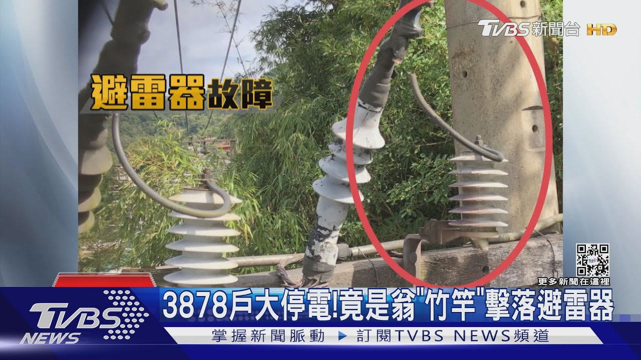 3878戶大停電！竟是翁「竹竿」擊落避雷器