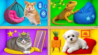 We Built a House For Pets | Funny Moments by Bubba DO Challenge
