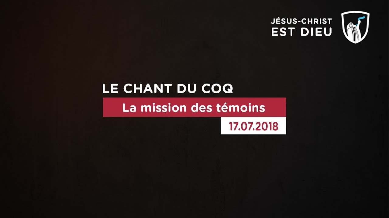 Thumbnail of video: La mission des témoins
