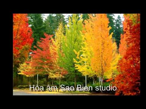 Hương thời gian Sheet - Huỳnh Thật