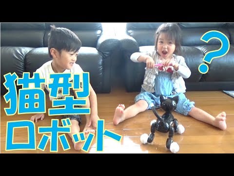 ネコ型ロボット！？ウ～ニャンで遊んだよ♪【毎日19時！立石学園】