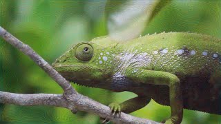 the orb - lost &amp; found