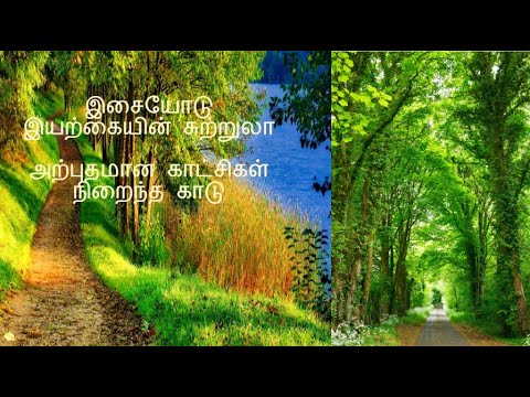 5 MINUTES OF AMAZING NATURE  SCENERY|RELAXATION MADURAI MUNISH|RELAXATION MUSIC WITH STRESS RELIF