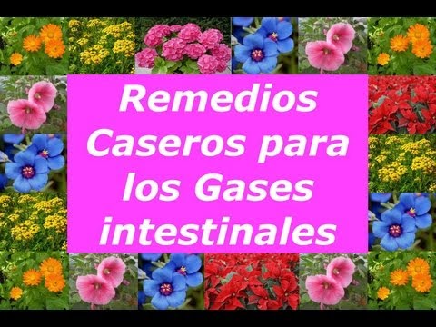 Gases intestinales: 5 remedios caseros naturales