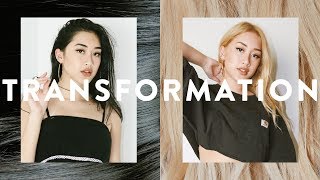 HAIR TRANSFORMATION: JET BLACK TO BLONDE IN ONE SESSION