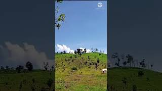 Download lagu pemandangan bukit || gunung aslialam #shorts mp3