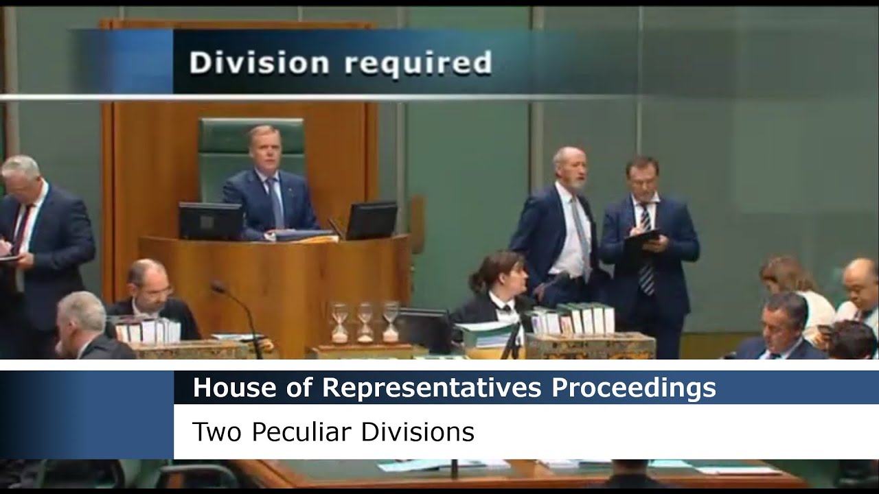 House of Representatives Proceedings - Two Peculiar Divisions (Speaker Voting & No Majority)