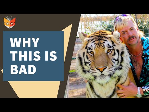 What Is a Black Market, and Why It’s an Economic Disease