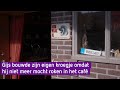 Gijs bouwde zijn eigen kroegje omdat hij niet meer in het café mocht roken - Nieuwe Streken Van Jo…