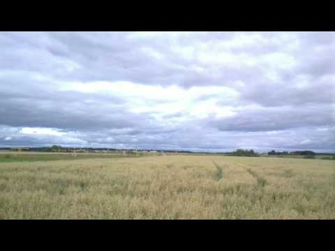 Rote JAS 39 Gripen startar från F 7 Skaraborgs Flygflottilj bana 19