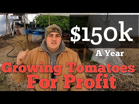 , title : 'Making $150k Growing Tomatoes in 2021'
