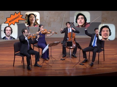 Telegraph Commentary #2 - Haydn String Quartet No. 67 in F major, Op. 77, No. 2