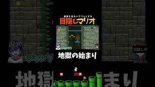 最後の最後で惜しすぎる！！！！【目隠しマリオ】