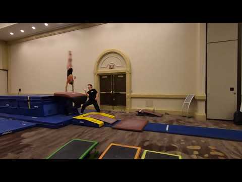 Grace Hassenplug 1st Place Vault SoCal State 2019 Wildfire Gymnast Level 7