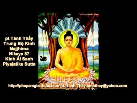 pt Tánh Thấy, Trung Bộ Kinh, Majjhima Nikaya 87, Kinh Ái Sanh