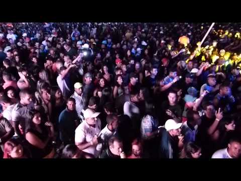 DVD Aniversário 26 Anos Grafith