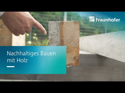 Holz als Baumaterial der Zukunft – nachhaltig, stabil und resistent