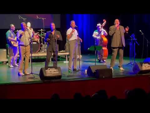 "Hello My Name Is Susan" by the Crystalairs at Doo Wop Fever 4