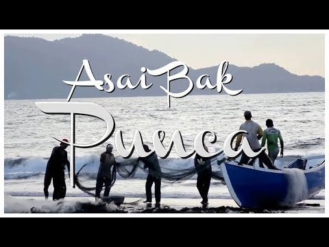 ASAI BAK PUNCA