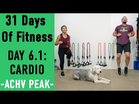 31DoF Day 6.1 - Cardio Workout - EMOM - Low Impact Friendly
